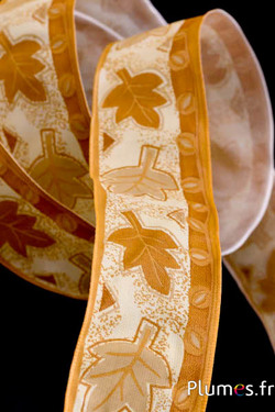 Ruban d’automne - largeur 40 mm - caramel